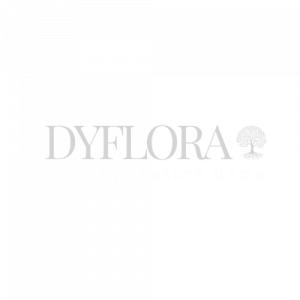 DyFlora